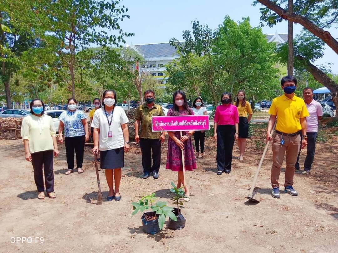 ﻿สำนักงานบังคับคดีจังหวัดสิงห์บุรี จัดกิจกรรมปลูกต้นไม้ประจำปีของชาติ
